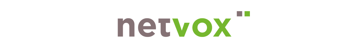 logo NetVox Assurances