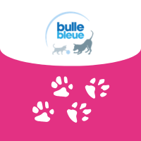 image redaction Comment résilier une mutuelle animaux Bulle Bleue ?