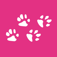 image redaction Comment résilier une mutuelle animaux ?