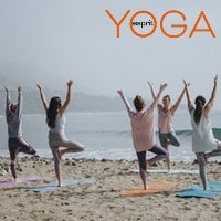 Comment résilier un abonnement au magazine Esprit Yoga ?