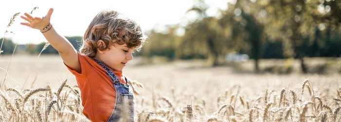 Petit garçon dans un champ de blé - résilier le magazine Abricot