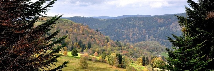 La lettre de résiliation d'un abonnement Vosges Matin