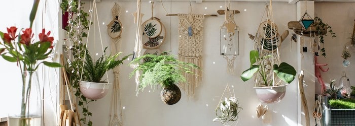 Salon décoré de plantes - résilier Marie Claire Maison