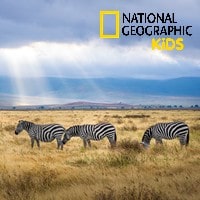 Tout sur la résiliation de National Geographic Kids