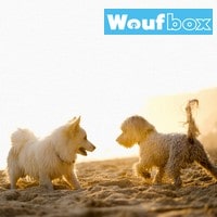 Comment résilier un abonnement Woufbox ?