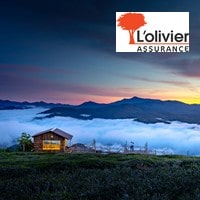 Comment résilier une assurance habitation L’Olivier ?