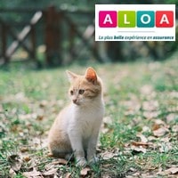 image redaction Comment résilier une mutuelle animaux Aloa ?